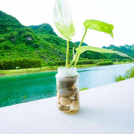 Phong Nha A Little Leaf Homestay Exterior foto